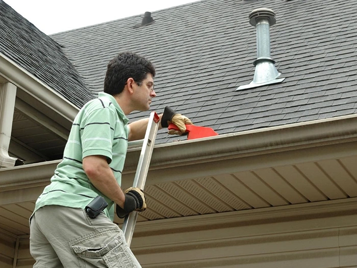 Exceptional Roof Cleaning Services in Pflugerville, TX ​