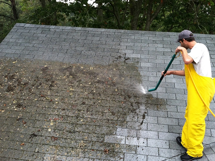 Eco-friendly Roof Cleaning in Hutto, TX