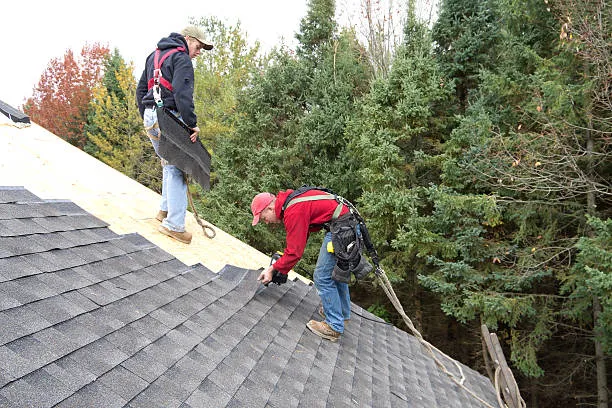 Two expert roofers installing shingle roof with Roof Repair Services in Hutto, TX