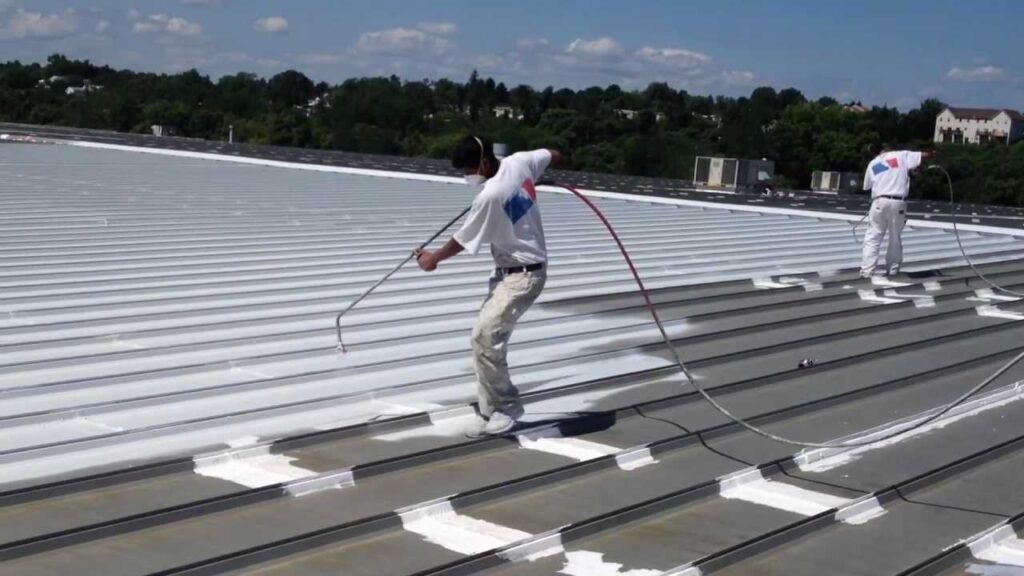 Metal Roof Cleaning in Texas